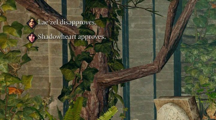 The topic of the approval indicator of party members has been described in more detail on a separate page How to check a companion's support - Baldurs Gate 3: Party management - Party - Baldurs Gate 3 Guide, Walkthrough