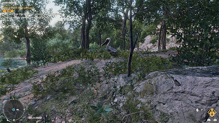 For the second challenge, you must feed 3 pelicans with the fish you catch - Far Cry 6: Shock Therapy - walkthrough - Valle De Oro - Far Cry 6 Guide