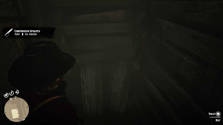 11 - Red Dead Redemption 2: Unique items - maps, locations, tips - Secrets and collectibles - Red Dead Redemption 2 Guide