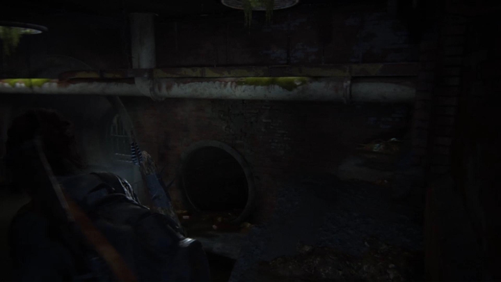 Swim a little bit and then pull up to the shelves located above to reach a platform hanging down from a pipe - The Last of Us 2: The Seraphites, Seattle Day 2 Ellie walkthrough - Seattle Day 2 - Ellie - The Last of Us 2 Guide