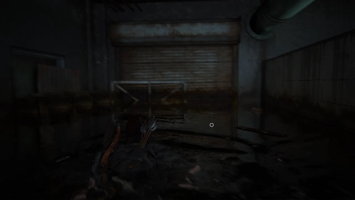 Keep swimming until you reach an area with a lowered tree branch - swim beneath it and continue into the wolf base - The Last of Us 2: St. Marys Hospital, Seattle Day 2 Ellie walkthrough - Seattle Day 2 - Ellie - The Last of Us 2 Guide